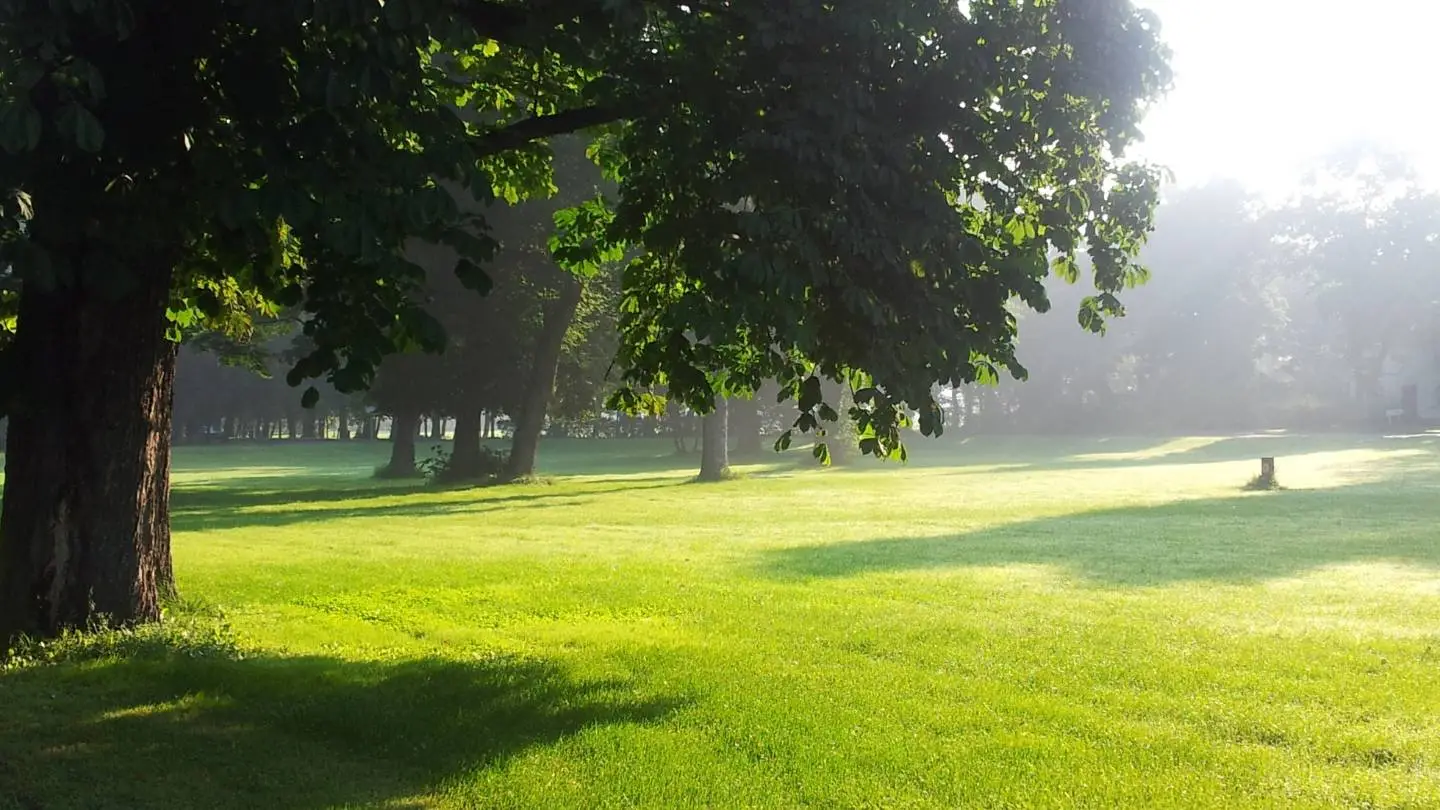 park bij la hulpe