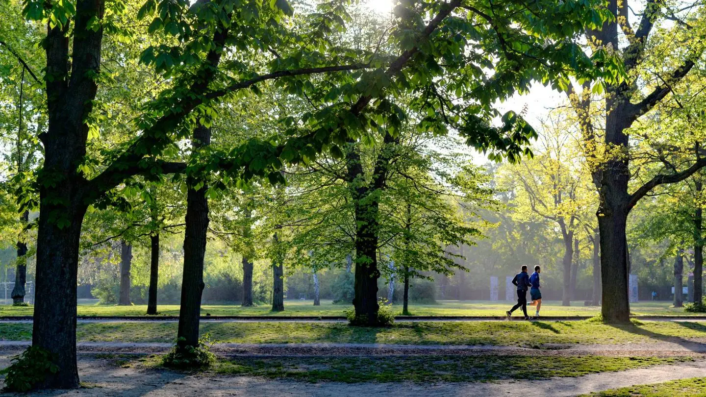 park in Sint-Genesius-Rode